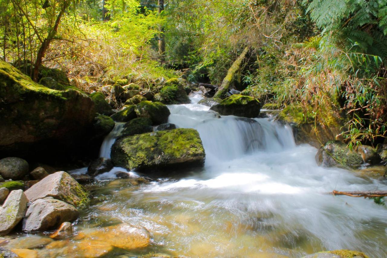 Hotel Natura Peulla Kültér fotó