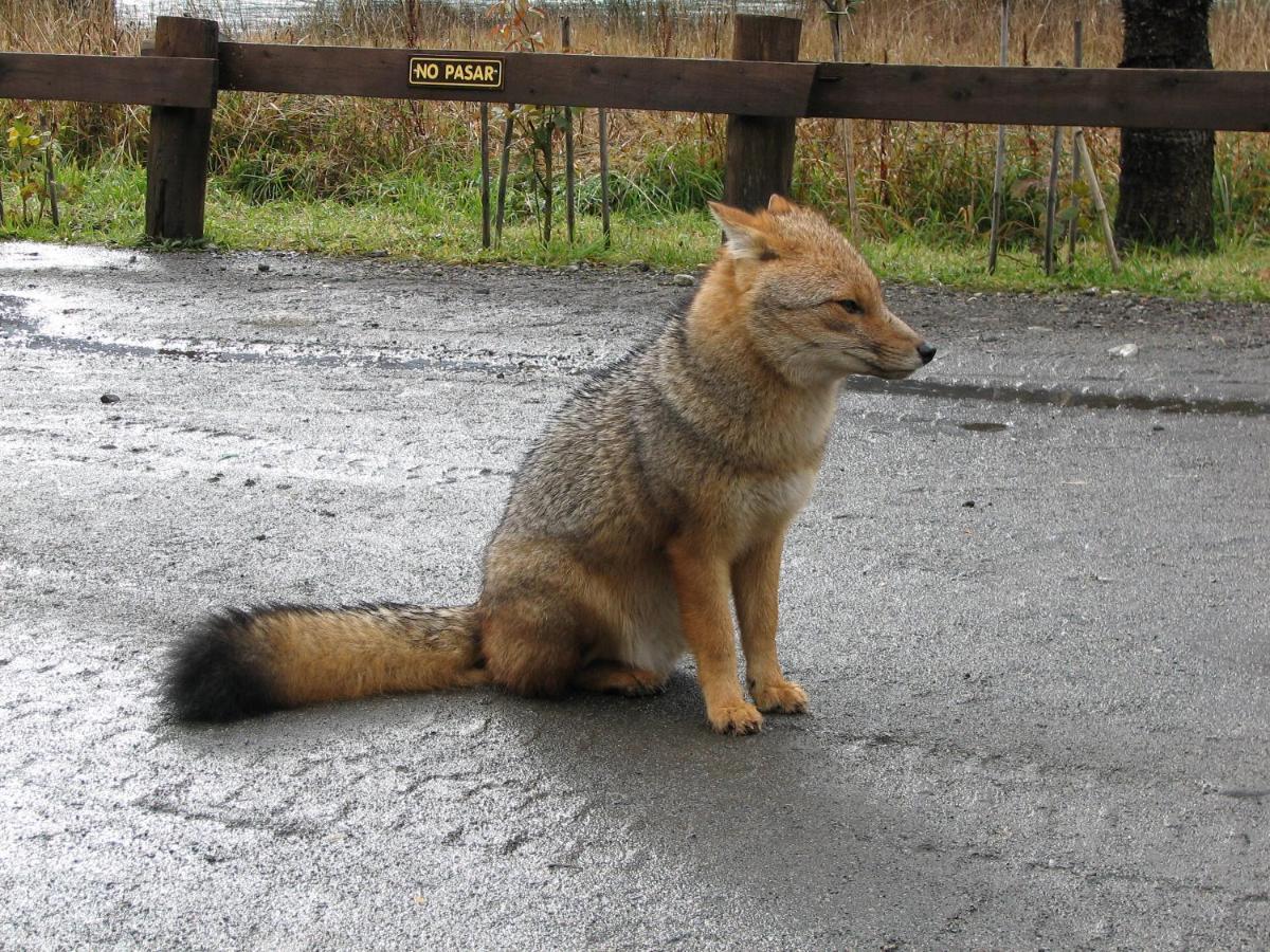 Hotel Natura Peulla Kültér fotó